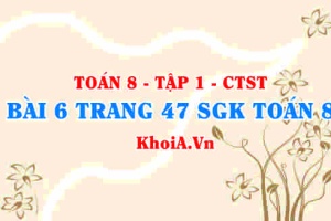 Bài 6 trang 47 SGK Toán 8 Tập 1 Chân trời sáng tạo